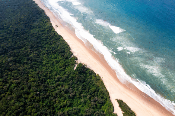 Africa & Indian Ocean – Savings of up to $5000 per suite – Silver Dawn – 11 April 2027 Africa & Indian Ocean – Savings of up to $5000 per suite – Silver Dawn – 11 April 2027